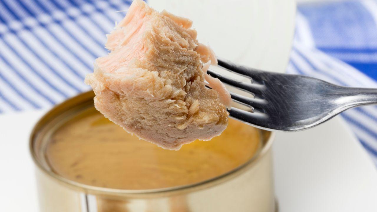 La classifica del miglior tonno in scatola secondo il Gambero Rosso 