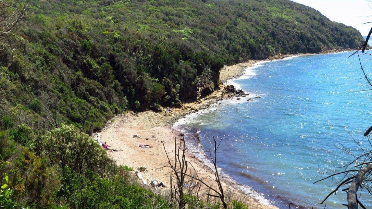 La spiaggia di Cala Martina 