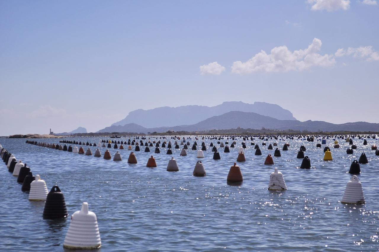 Olbia, Spano (Pd): «Basta scontri sul golfo, in gioco ambiente e mitilicoltura»