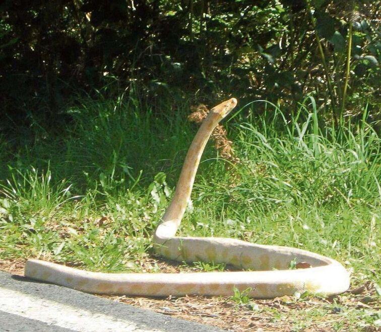 La foto rilanciata sui social in un primo momento