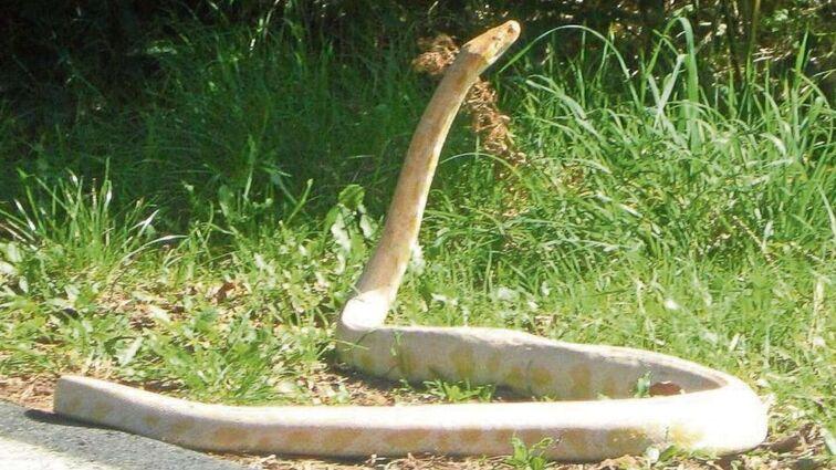 La foto rilanciata sui social in un primo momento