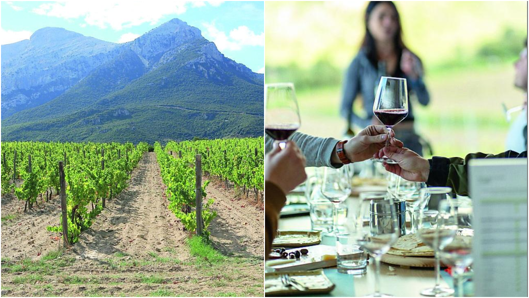 Dalla Gallura alla Barbagia: un itinerario tra vigne, storia e paesaggi mozzafiato