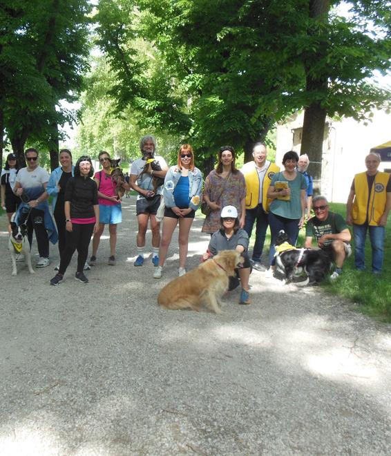 Addestrare cani per ciechi: raccolta fondi a Ferrara