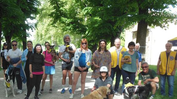 Addestrare cani per ciechi: raccolta fondi a Ferrara