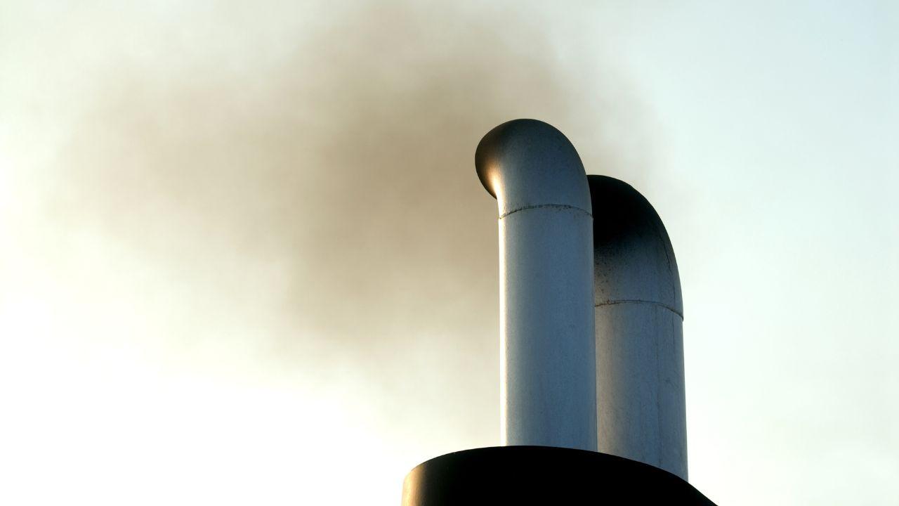 
	(foto di repertorio)

