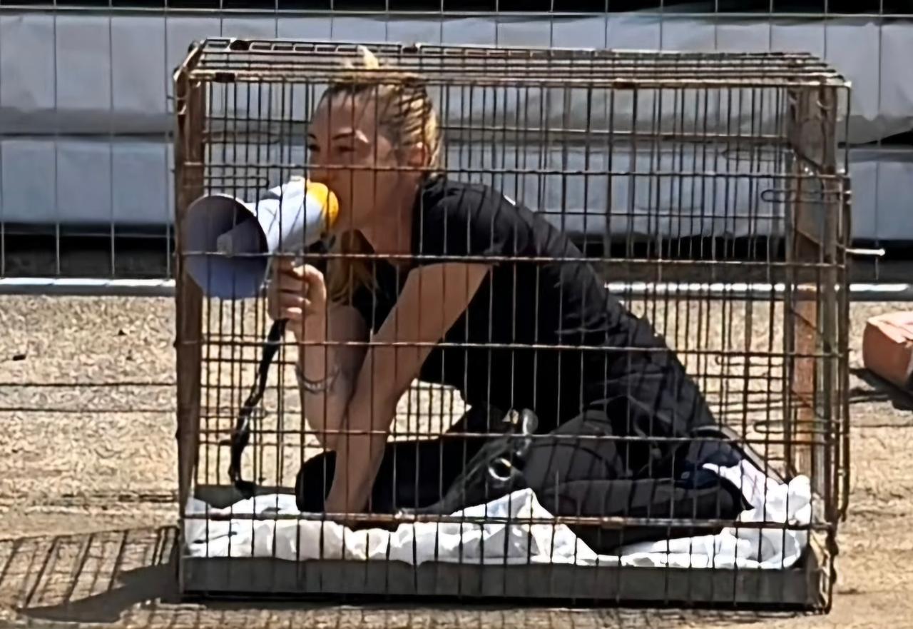 Attivisti in piazza dentro le gabbie per dire no all’abbattimento dei cinghiali - VIDEO