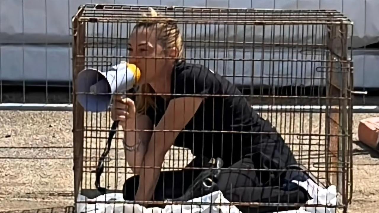 Attivisti in piazza dentro le gabbie per dire no all’abbattimento dei cinghiali - VIDEO