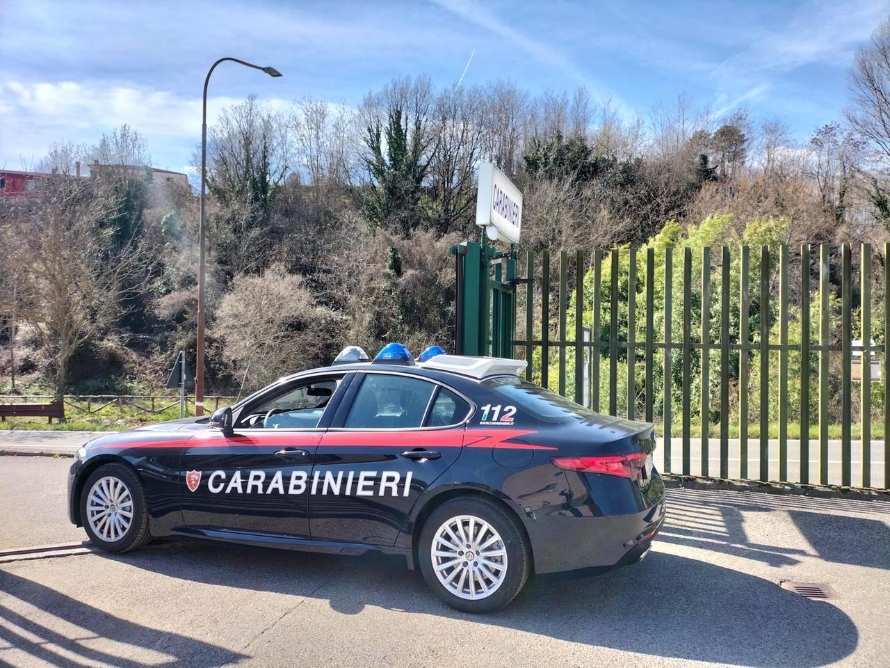 
	Una pattuglia dei carabinieri (foto d'archivio)

