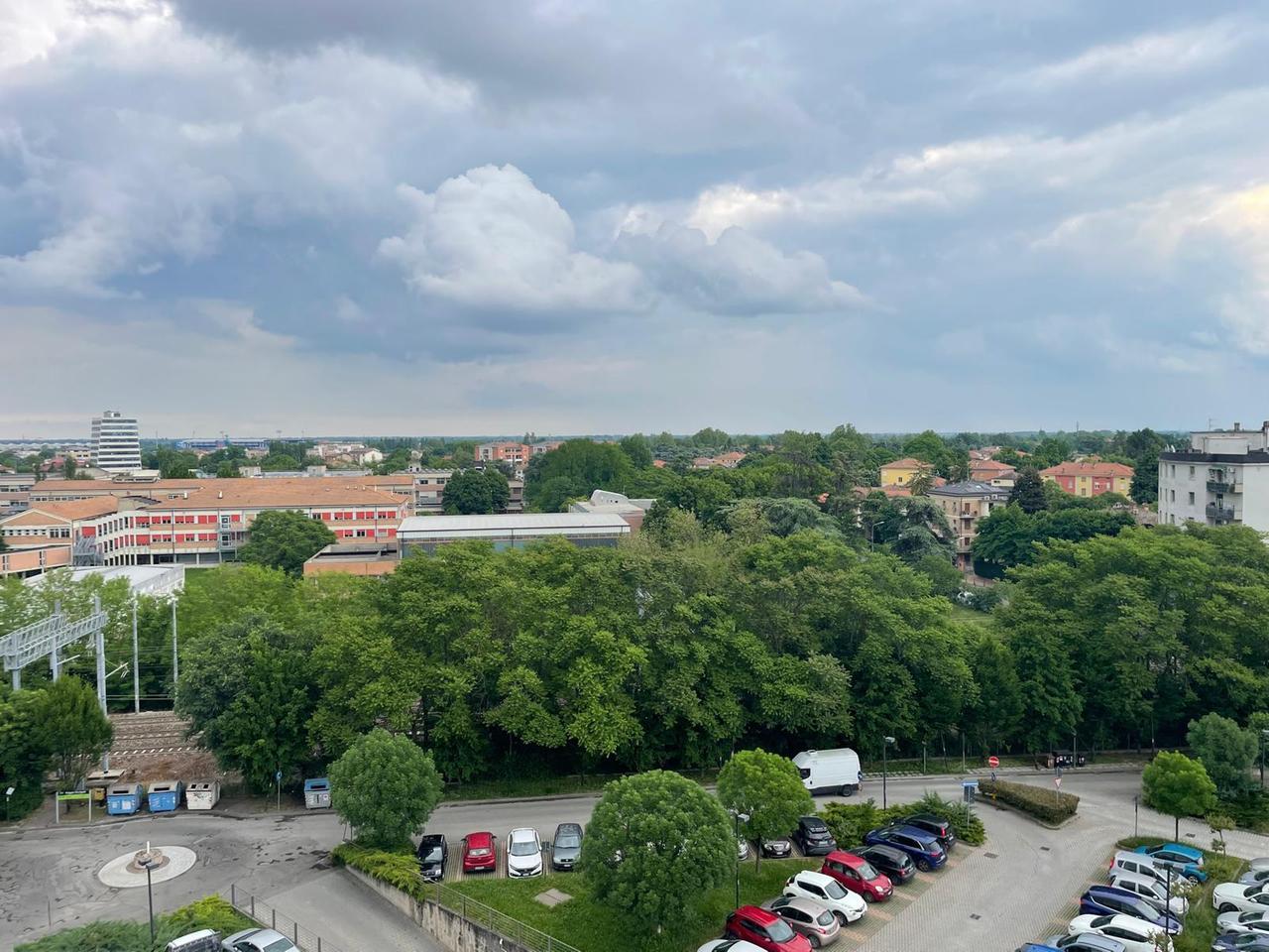 Unimore, lo studio: «Vivere con poco verde è un male, ma anche troppo non fa bene»