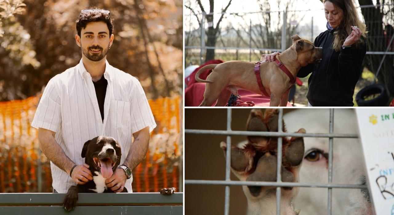 
	Il docufilm sul canile di Carpi

