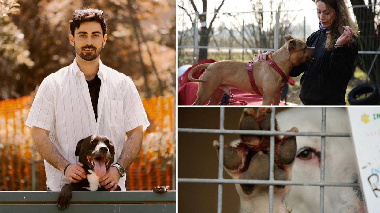 Il docufilm sul canile di Carpi