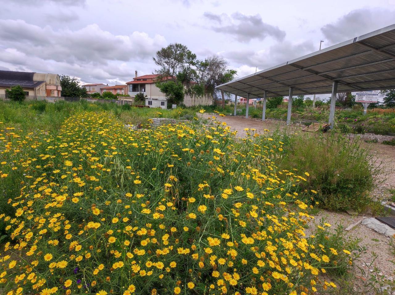 Lavori pubblici fermi da mesi: erbacce e macerie nel cantiere