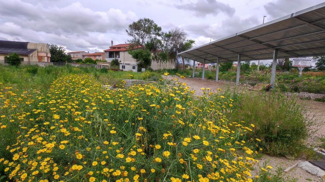 Lavori pubblici fermi da mesi: erbacce e macerie nel cantiere