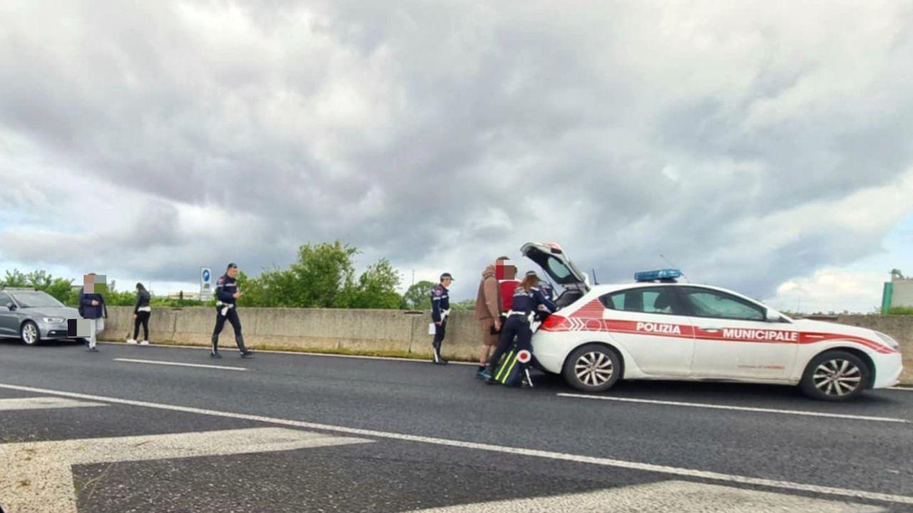 
	La zona del tamponamento

