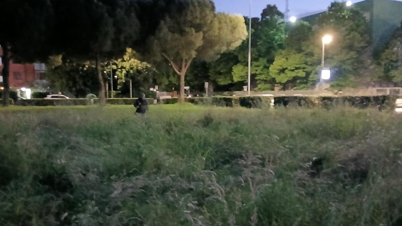 Il campo dove è avvenuto l'omicidio