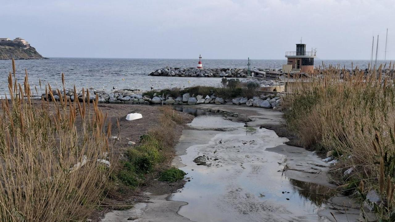Rio Salivoli: nuovi scarichi irregolari