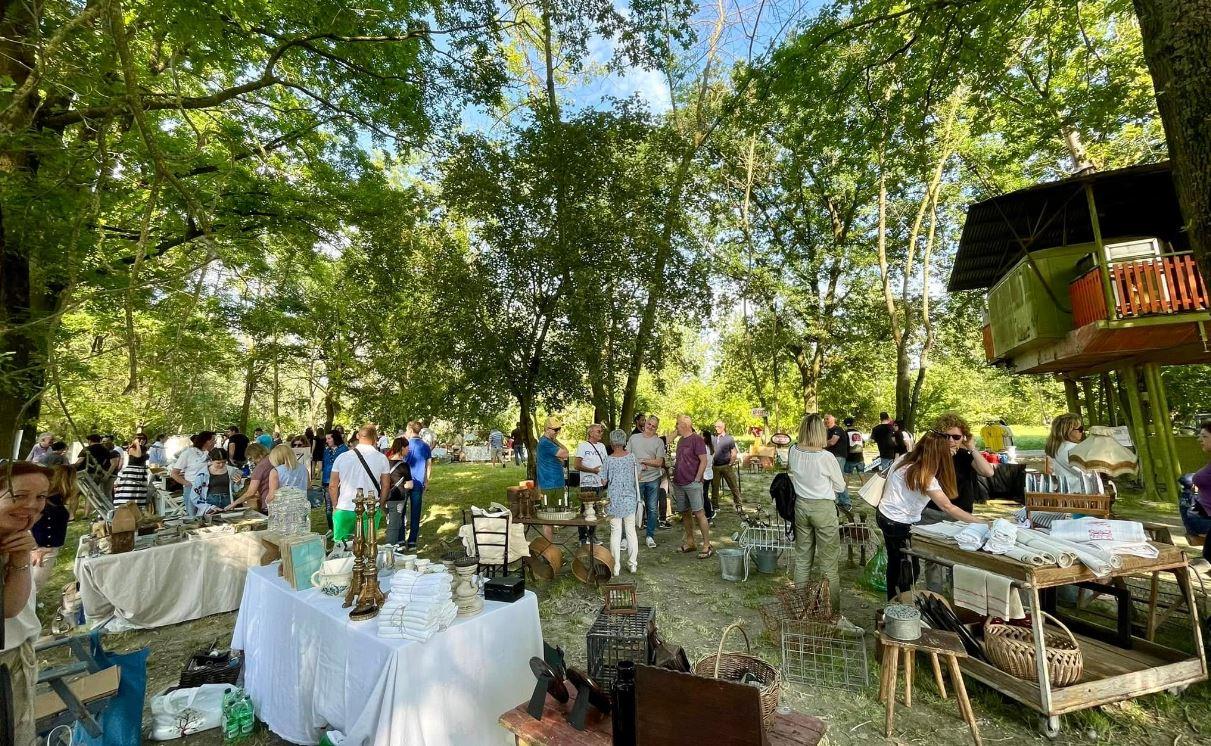Luzzara, ritorna il Brocante & Vintage: il mercatino sul Po tra pezzi unici, sapori e paesaggio