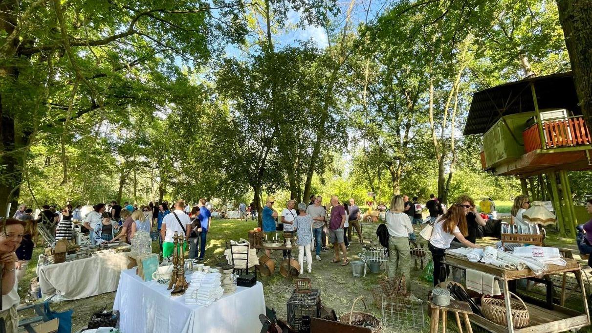 Luzzara, ritorna il Brocante & Vintage: il mercatino sul Po tra pezzi unici, sapori e paesaggio