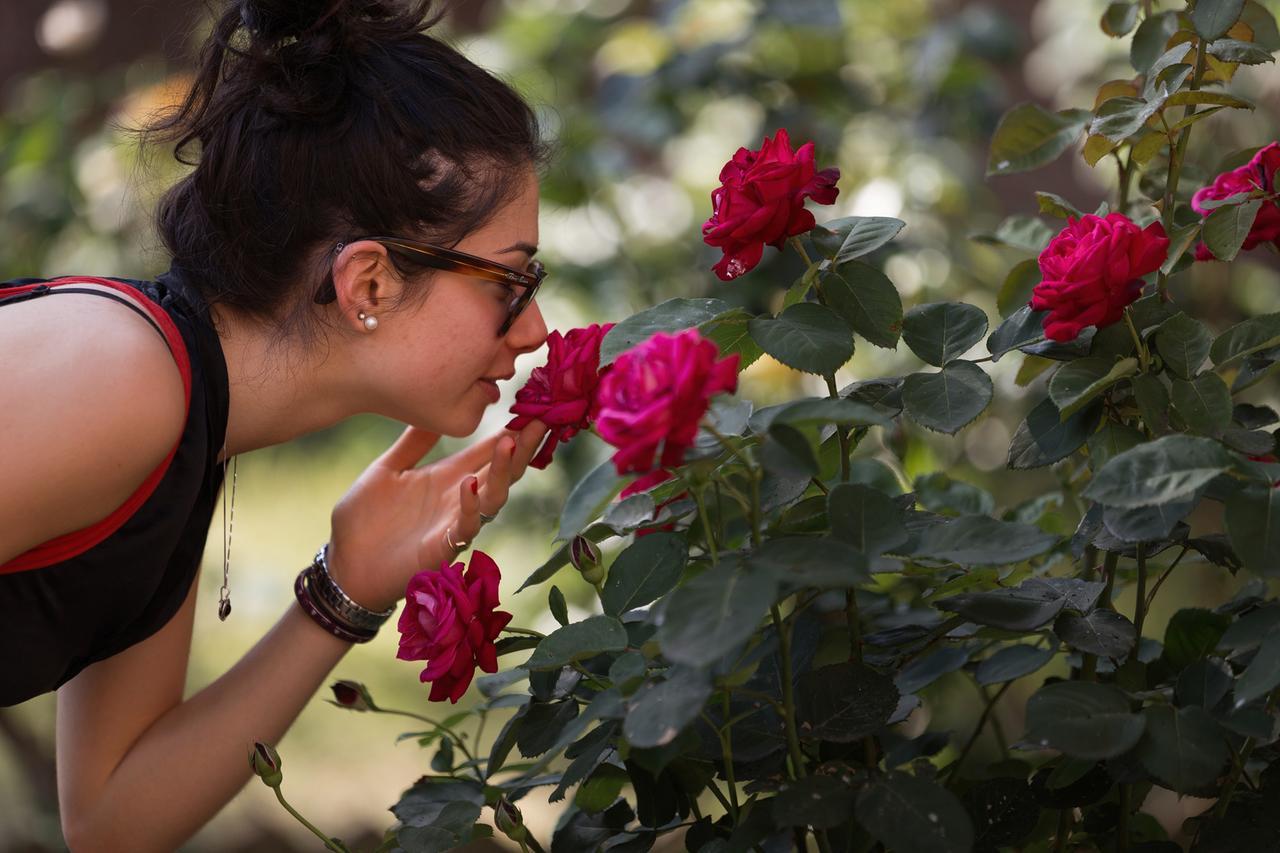 Interno Verde, Markettino e Vegan Festival: cosa fare a Ferrara nel weekend