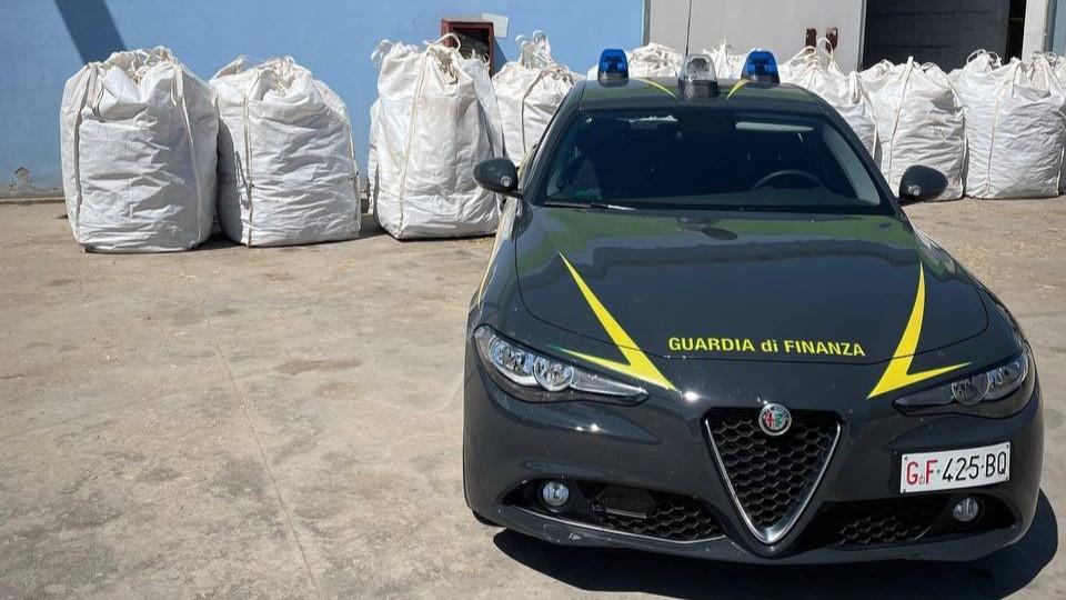 Marijuana sequestrata dalla Finanza, la difesa: «Tutto in regola, prodotto per la filiera canapicola»