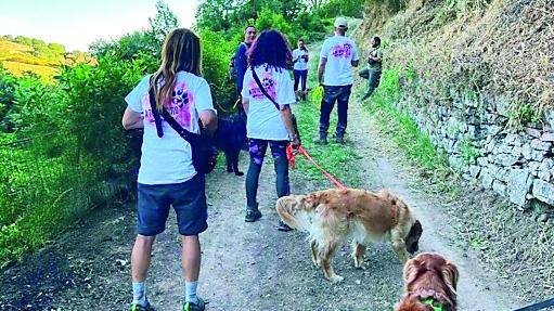 Zampalonga a Guastalla: una passeggiata con il proprio cane per aiutare chi non vede