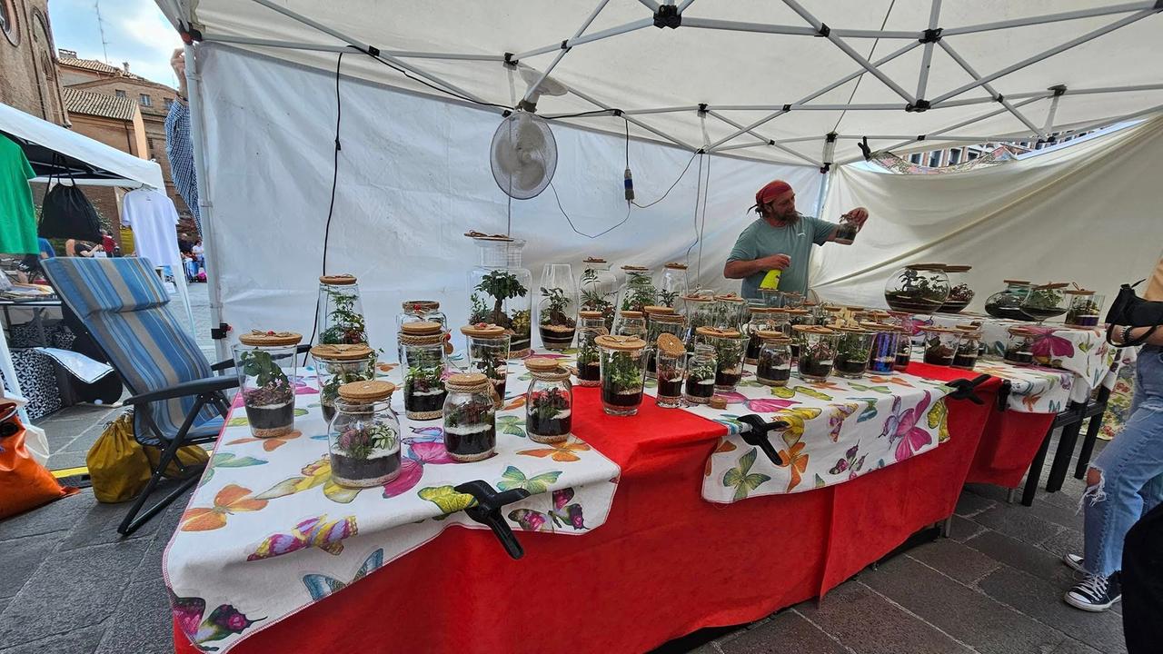 Difesa dei topi e “formaggi”. Vegan Festival a Ferrara