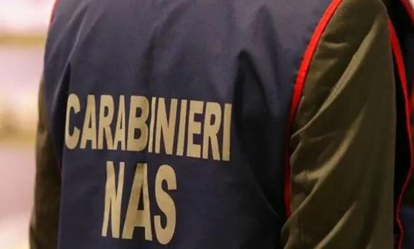 Sporcizia, muffa e insetti: chiuso bar, panificio, pasticceria in centro a Livorno