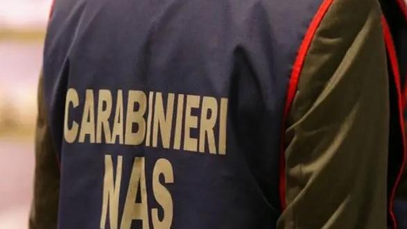 Sporcizia, muffa e insetti: chiuso bar, panificio, pasticceria in centro a Livorno