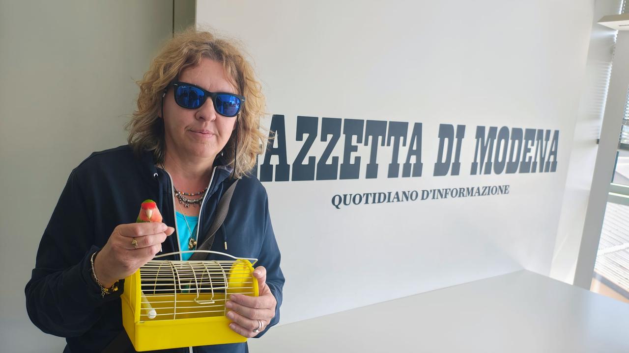 Pepito, il pappagallino ritrova la sua famiglia