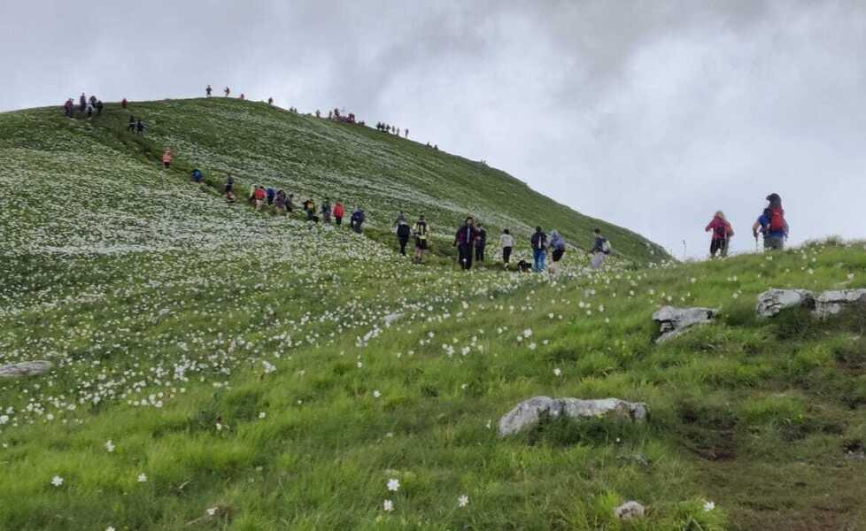 
	Foto scattate da Matte Bini

