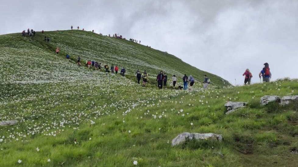 Foto scattate da Matte Bini