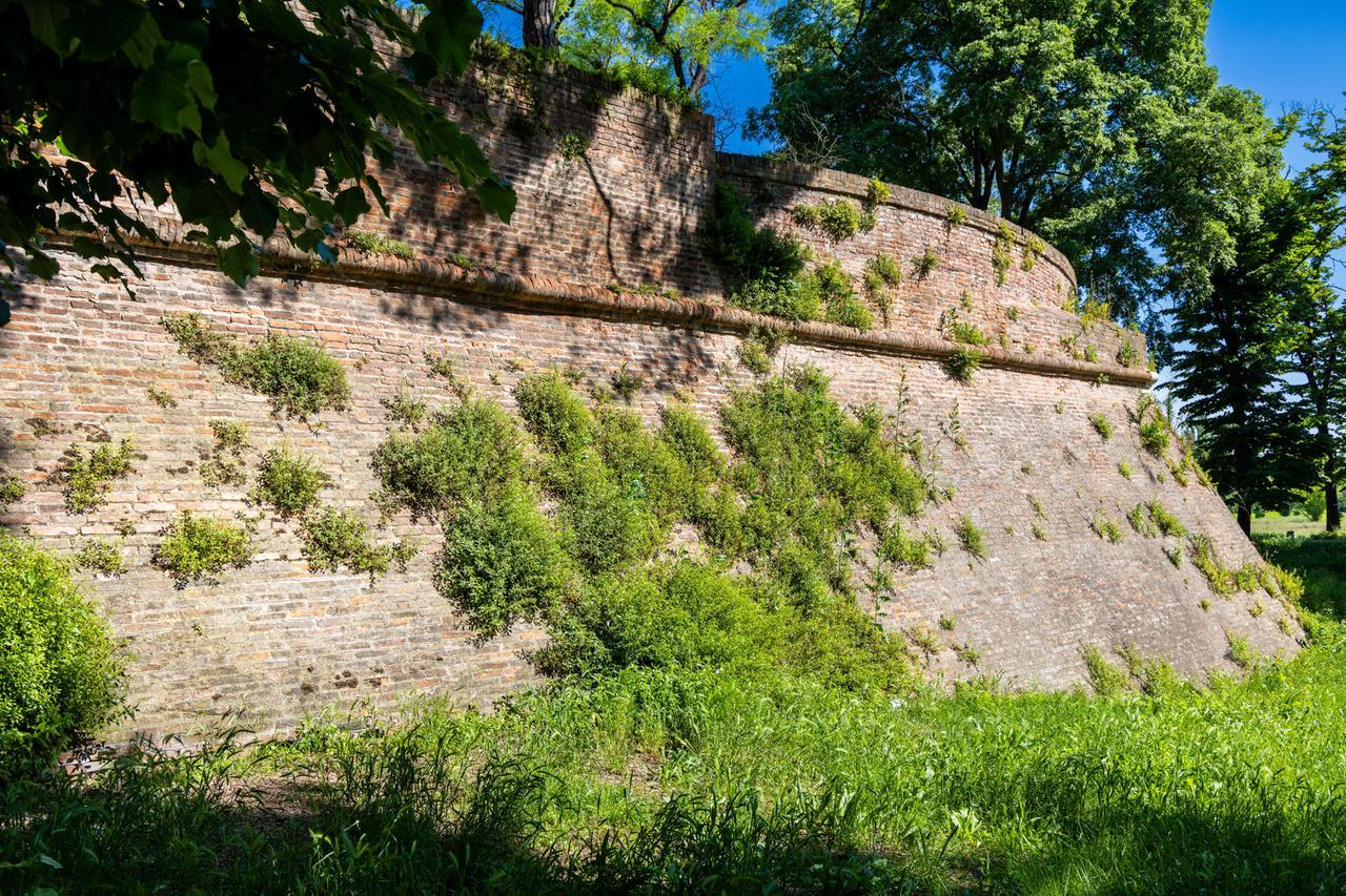 Le Mura di Ferrara invase dalla vegetazione