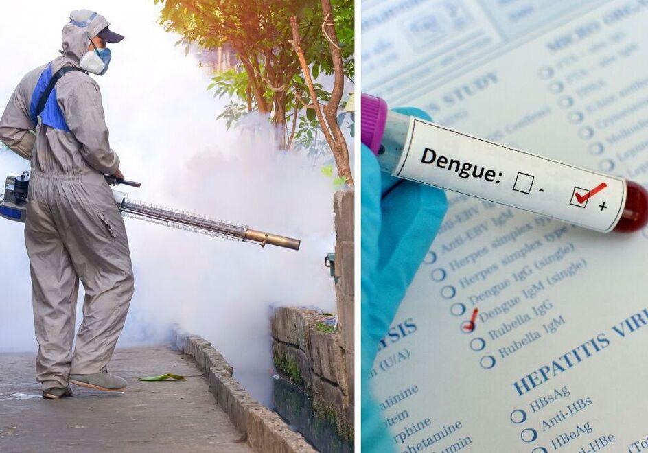 
	Un&rsquo;azione per disinfestare dalle zanzare tigre e una provetta con esito positivo alla Dengue

