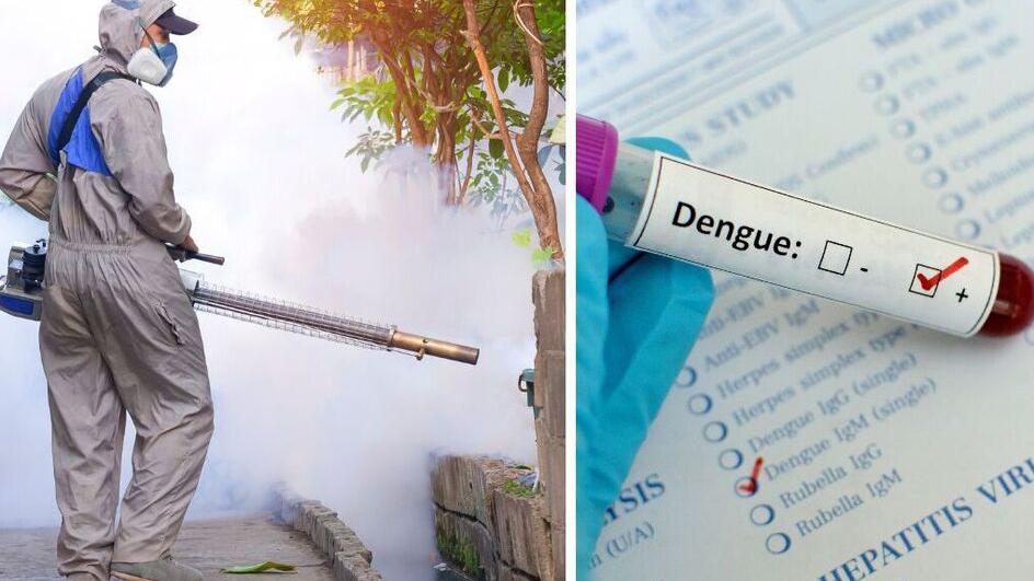 Un’azione per disinfestare dalle zanzare tigre e una provetta con esito positivo alla Dengue