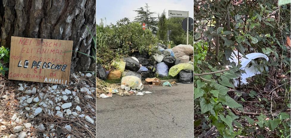 
	Al centro la discarica delle Spianate, a sinistra un cartello lasciato ai margini del bosco

