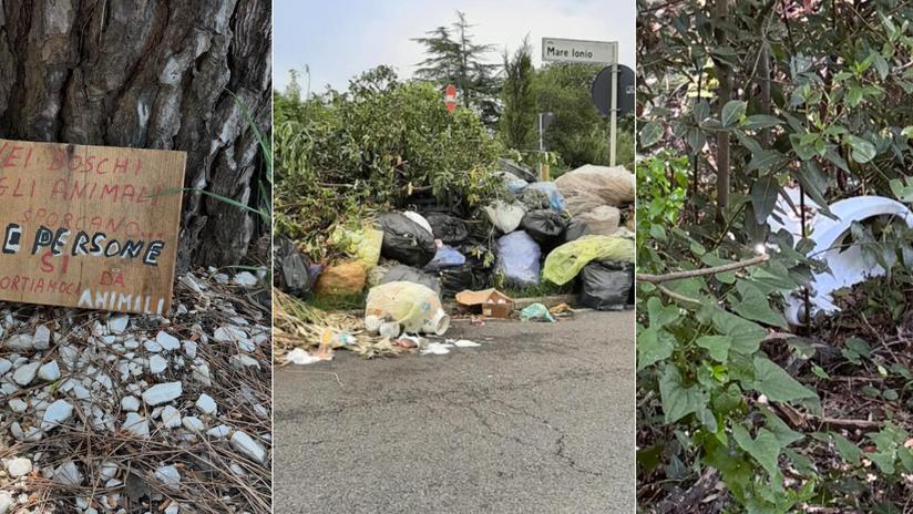 Al centro la discarica delle Spianate, a sinistra un cartello lasciato ai margini del bosco