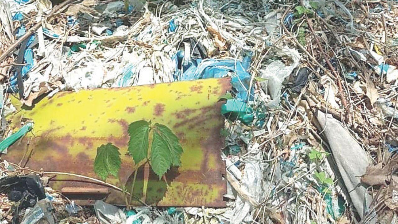 Un angolo della discarica segnalata dal consigliere