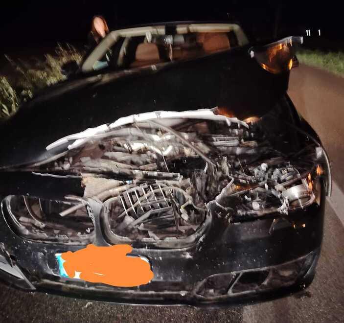 Auto distrutta da un daino a Lido Nazioni: «Ormai siamo a un incidente al giorno»