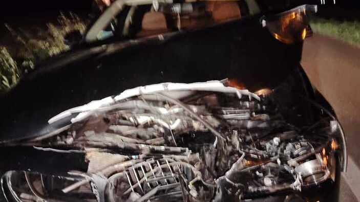 Auto distrutta da un daino a Lido Nazioni: «Ormai siamo a un incidente al giorno»