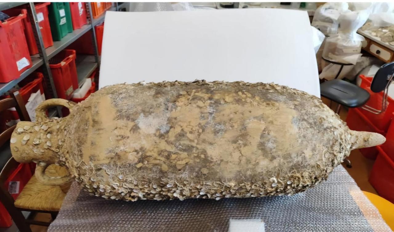 Recuperati 1500 reperti archeologici e 800 fossili, 60 persone denunciate