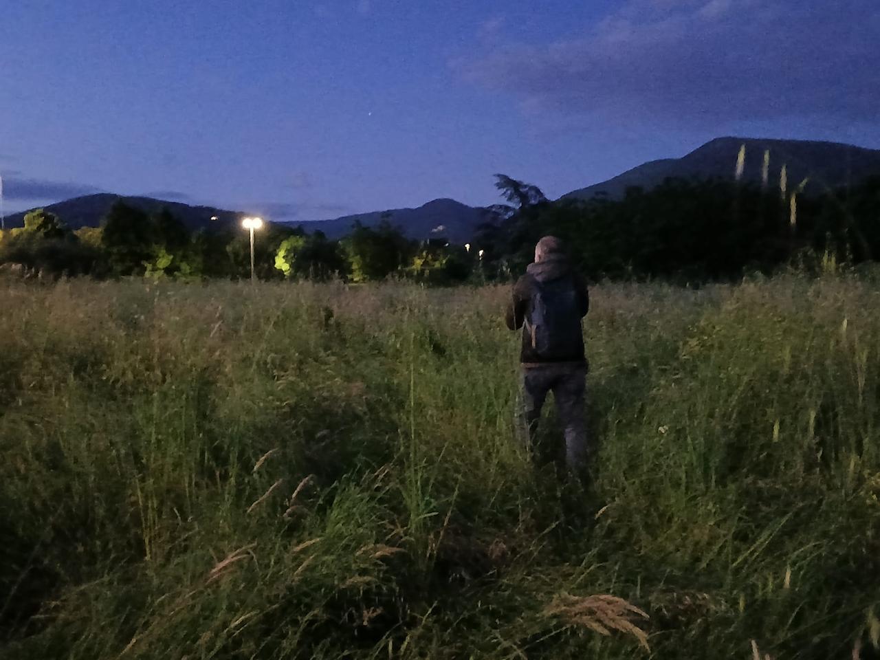 
	Il campo dove &egrave; avvenuto l'omicidio

