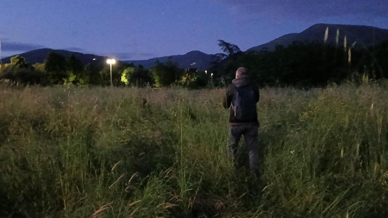 Il campo dove è avvenuto l'omicidio