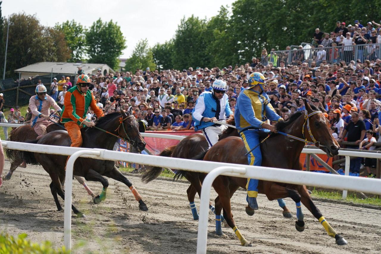 
	Palio di Fucecchio: si corre domenica 18 maggio


