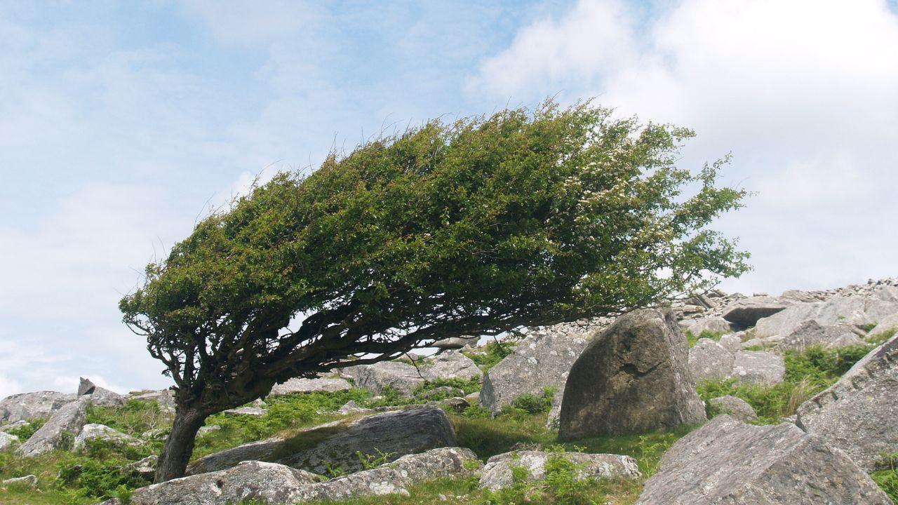 Previsto forte forte in quasi tutta la Toscana