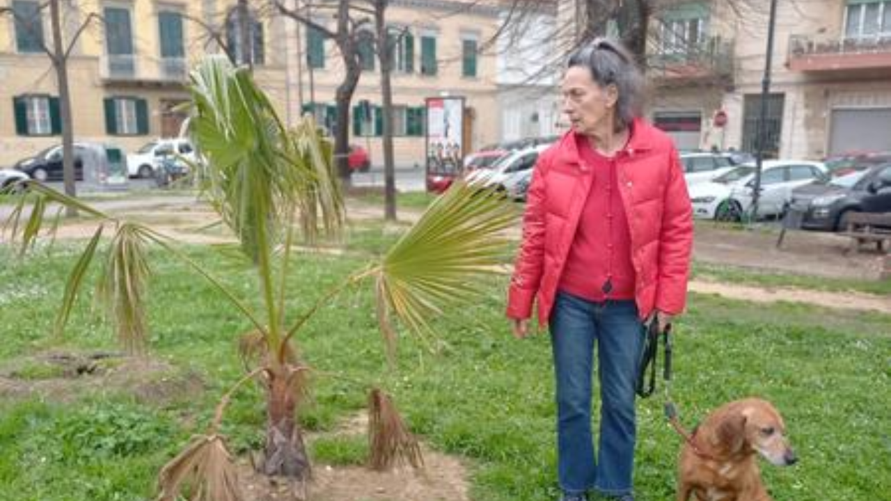 L'appello dell'associazione 