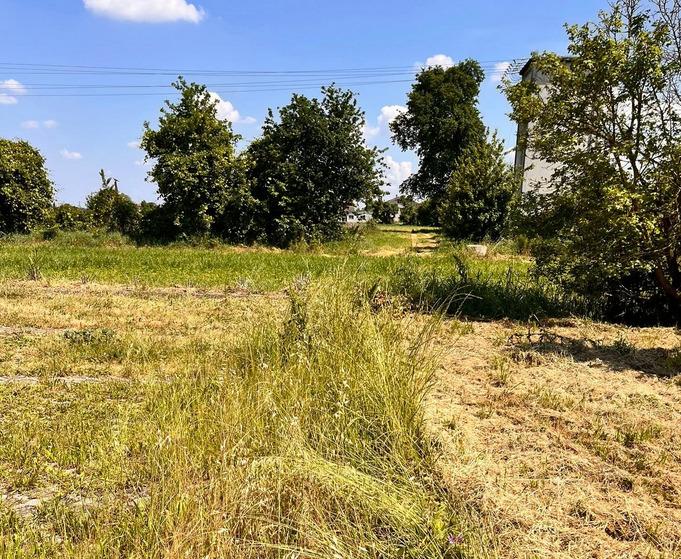 Guastalla, si sperimenta lo sfalcio ridotto nelle aree verdi