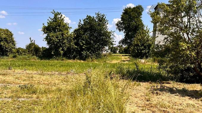 Guastalla, si sperimenta lo sfalcio ridotto nelle aree verdi