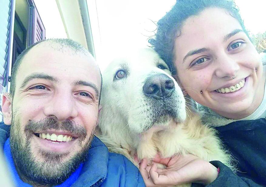 Spariti i gestori del canile: i dipendenti, senza stipendio, accudiscono i cani a casa