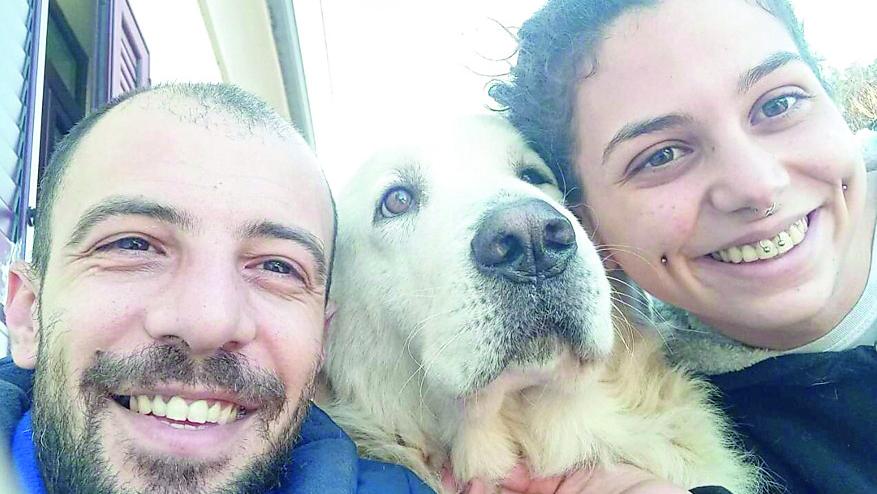 Spariti i gestori del canile: i dipendenti, senza stipendio, accudiscono i cani a casa