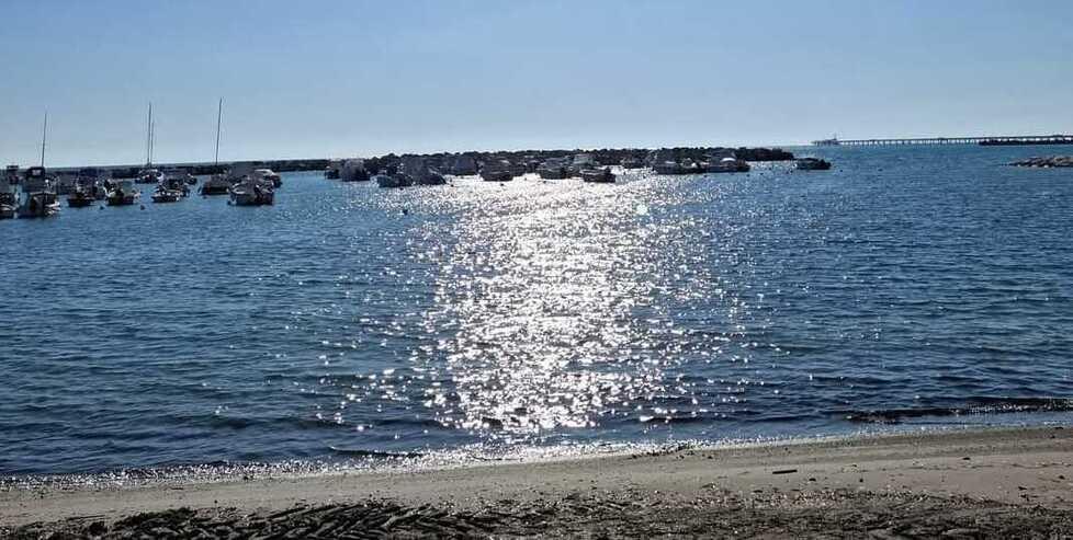 
	Il mare a Vada

